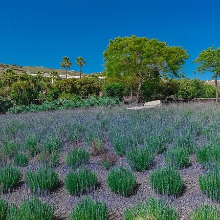 The Nest Tenerife Βίλα