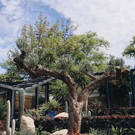 Βίλα The Nest Tenerife